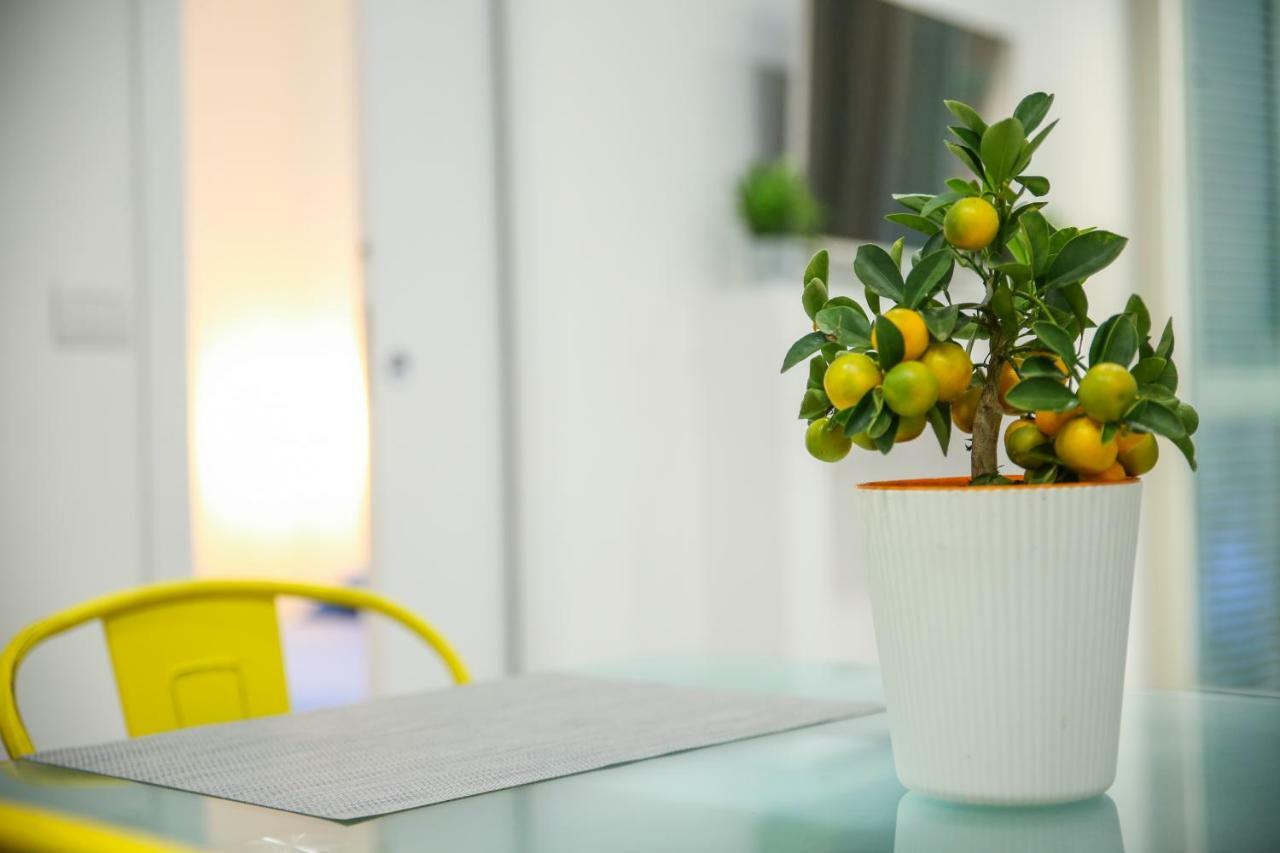 Appartement Medina 24